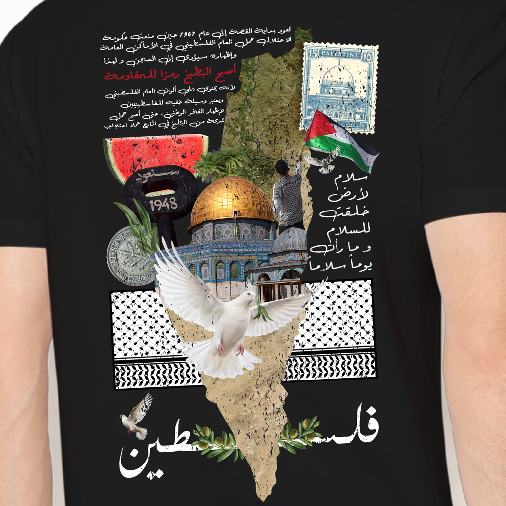 Watermelon Story Tshirt