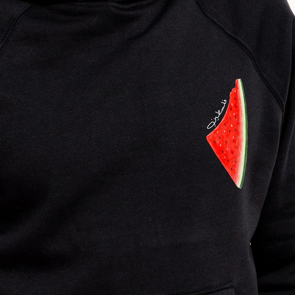 Watermelon Story Hoodie